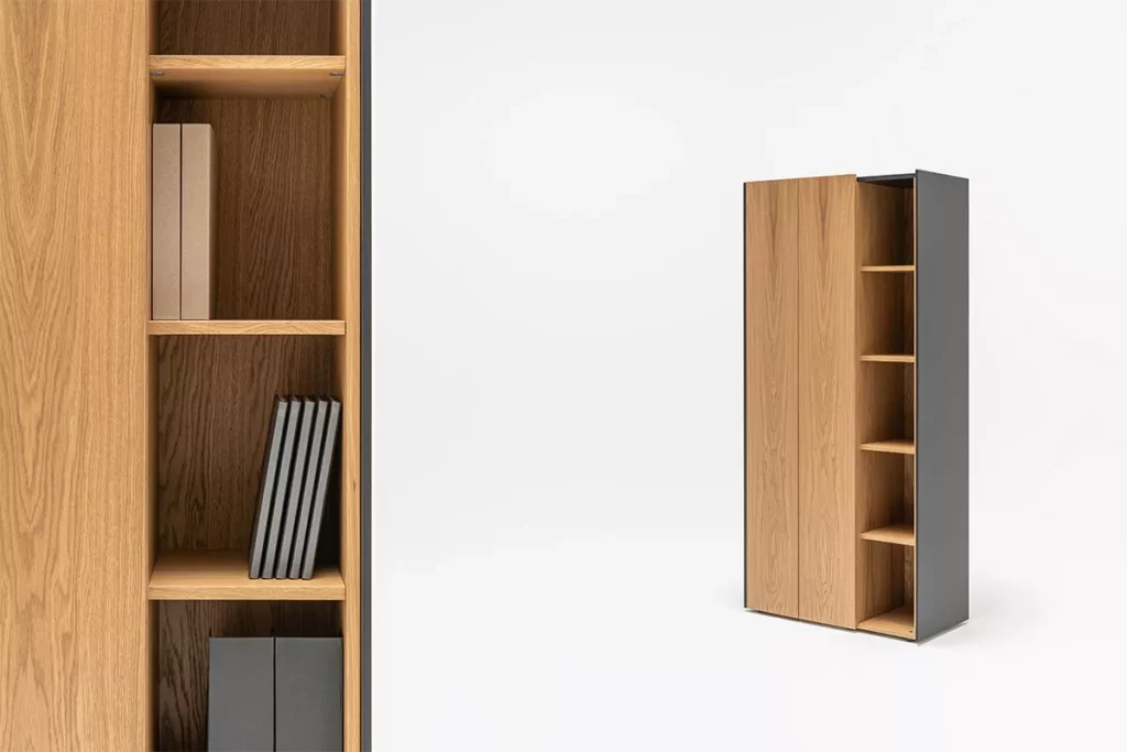 "storage-solutions-choose-cabinets-bookcases-office"